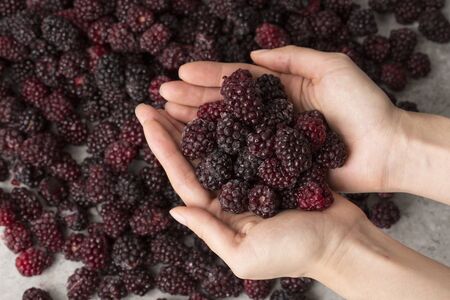 Assorted fresh berries, healthy lifestyleの写真素材