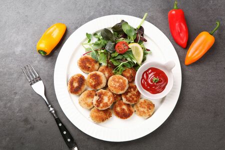 Mini pork cutlet with salad and sauce served on plateの写真素材