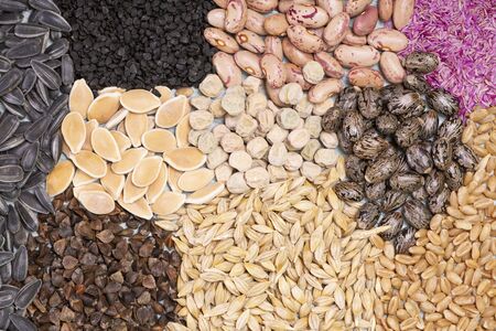 collection of healthy superfood, close up of various seeds