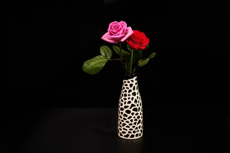 Close up of red and pink roses on black backgroundの写真素材