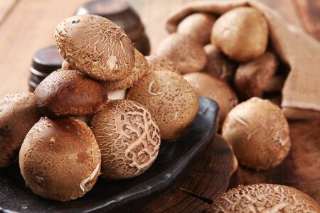 stacked shiitake on plateの写真素材
