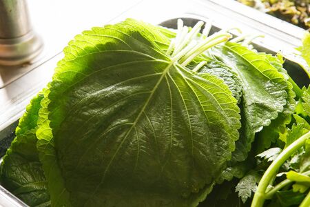 stacked perilla leavesの写真素材