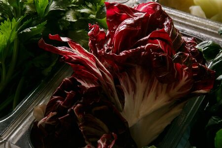 red chicoryの写真素材