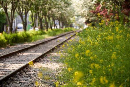 Countryside scene of railway in springの写真素材