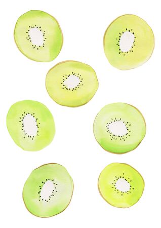 Watercolor kiwi illustrationの写真素材