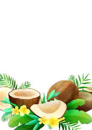 coconuts with grass and flower, Concept of summer pattern design illustrationの写真素材
