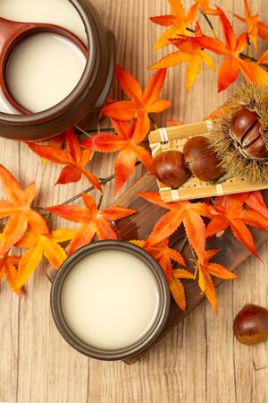 Autumn harvest time, fresh pumpkin and chestnutの写真素材