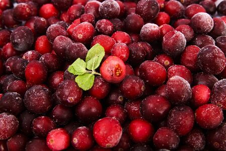 Natural organic concept, Natural haelth and skin care products- pomegranate, lemon, mango and...