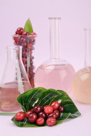 Natural organic concept, Natural haelth and skin care products- pomegranate, lemon, mango and avocado 076の写真素材