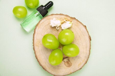 Natural organic concept, Natural haelth and skin care products- pomegranate, lemon, mango and avocado 316の写真素材