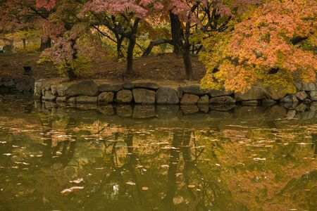 Colorful autumn landscape in the park and the countryside. Beautiful flowers and trees in the autumn...