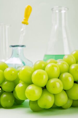 Natural organic concept, Natural haelth and skin care products- pomegranate, lemon, mango and avocado 304の写真素材