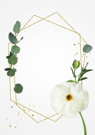 Spring background with white flower and eucalyptus leaves.の写真素材