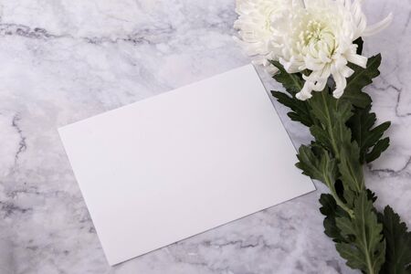 Blank card and white chrysanthemum flowerの写真素材
