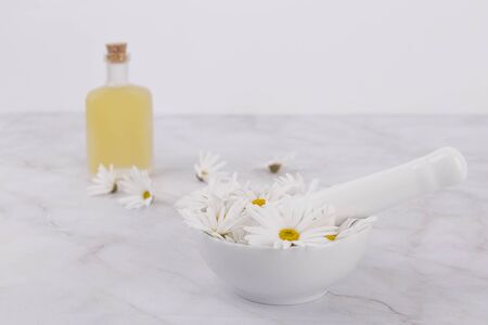 the Memorial Day concept, white chrysanthemum flower 092の写真素材