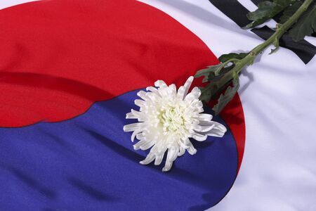 the Memorial Day concept, white chrysanthemum flower 031の写真素材