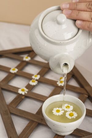 the Memorial Day concept, white chrysanthemum flower 137の写真素材