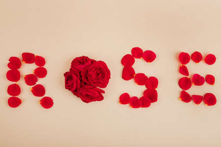 Lovers' Day concept, romantic couple event objects 088の写真素材