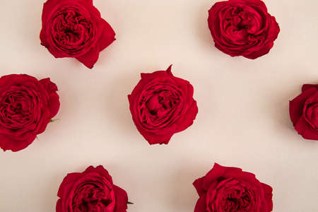 Lovers' Day concept, romantic couple event objects 086の写真素材