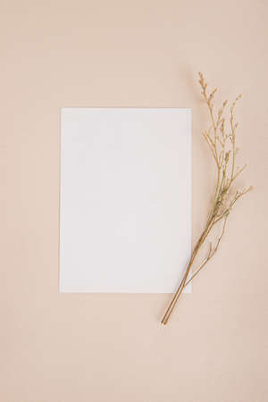 Lovers' Day concept, romantic couple event objects 142
