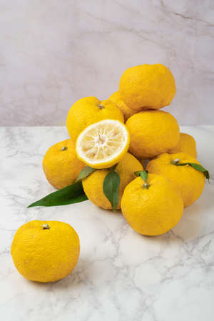 fresh fruit concept. close up of lemons and citrons 074の写真素材
