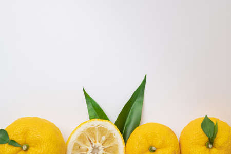 fresh fruit concept. close up of lemons and citrons 015