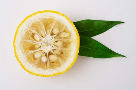 fresh fruit concept. close up of lemons and citrons 019