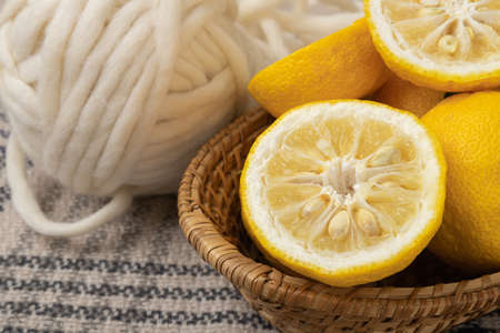 fresh fruit concept. close up of lemons and citrons 107の写真素材