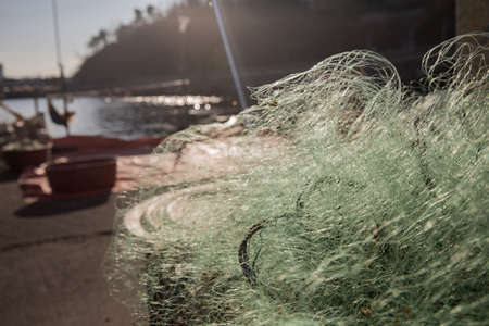 fishing village landscape. fresh fish market at the port in Korea 035