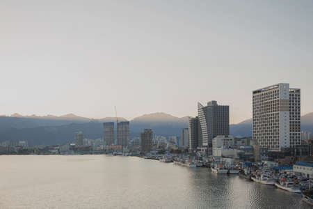 fishing village landscape. fresh fish market at the port in Korea 083
