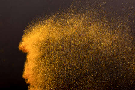 Colorful glitter background with object. 059の写真素材