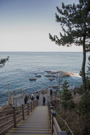 fishing village landscape. fresh fish market at the port in Korea 003の写真素材