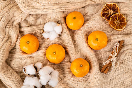 What you need for the cold winter season 052の写真素材