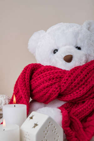 What you need for the cold winter season 134の写真素材