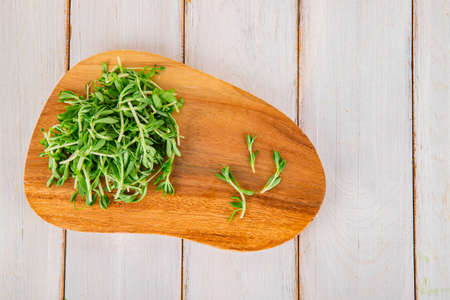 Spring vegetables and herbs, close up of nutritious greens sprouting in spring. 113の写真素材