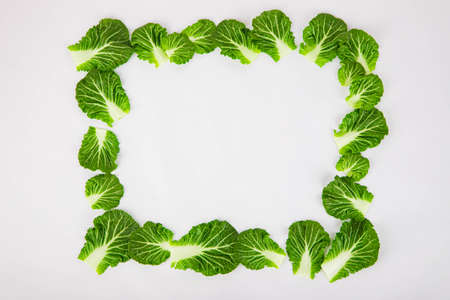 Spring vegetables and herbs, close up of nutritious greens sprouting in spring. 030の写真素材