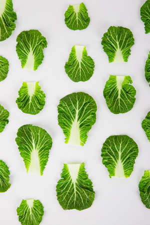 Spring vegetables and herbs, close up of nutritious greens sprouting in spring. 028の写真素材