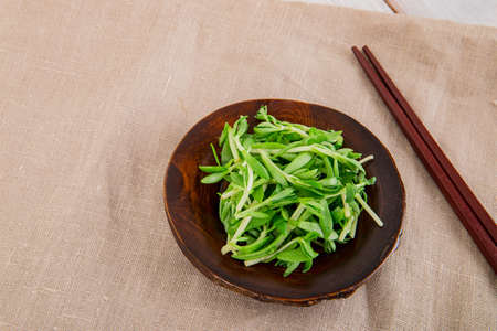 Spring vegetables and herbs, close up of nutritious greens sprouting in spring. 133の写真素材