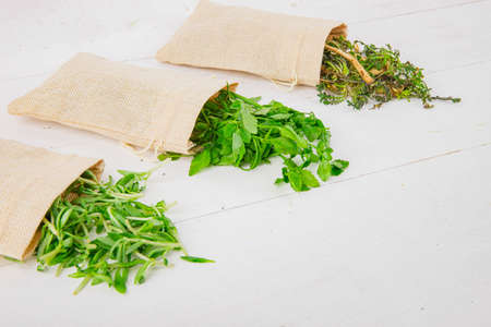 Spring vegetables and herbs, close up of nutritious greens sprouting in spring. 180の写真素材