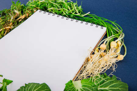Spring vegetables and herbs, close up of nutritious greens sprouting in spring. 185の写真素材