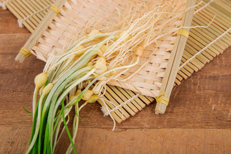 Spring vegetables and herbs, close up of nutritious greens sprouting in spring. 066の写真素材