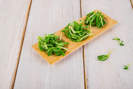 Spring vegetables and herbs, close up of nutritious greens sprouting in spring. 120