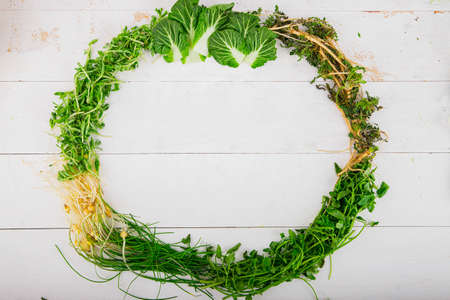 Spring vegetables and herbs, close up of nutritious greens sprouting in spring. 165の写真素材