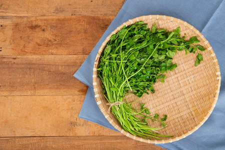 Spring vegetables and herbs, close up of nutritious greens sprouting in spring. 082