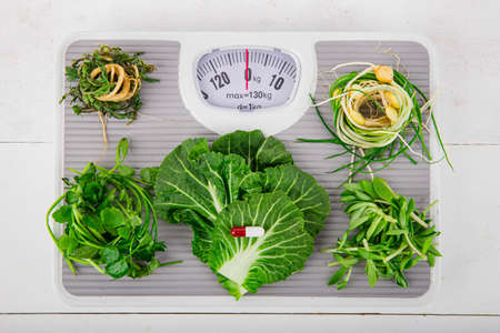 Spring vegetables and herbs, close up of nutritious greens sprouting in spring. 151の写真素材