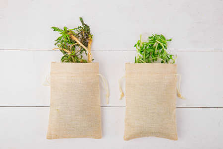 Spring vegetables and herbs, close up of nutritious greens sprouting in spring. 172