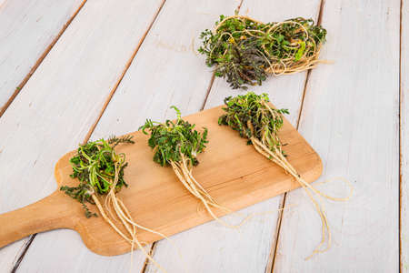 Spring vegetables and herbs, close up of nutritious greens sprouting in spring. 121
