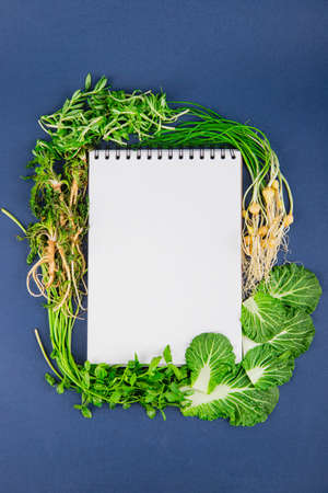 Spring vegetables and herbs, close up of nutritious greens sprouting in spring. 186の写真素材