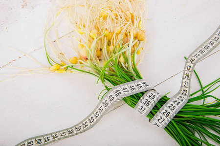 Spring vegetables and herbs, close up of nutritious greens sprouting in spring. 150の写真素材