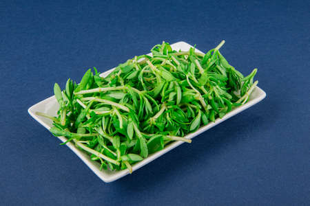 Spring vegetables and herbs, close up of nutritious greens sprouting in spring. 196の写真素材